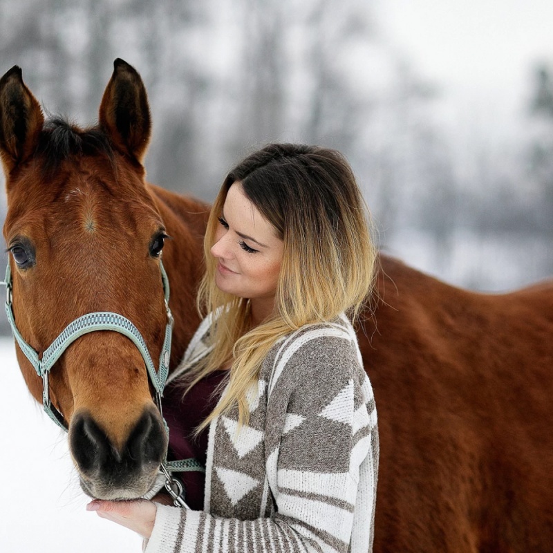 Angst beim Pferd