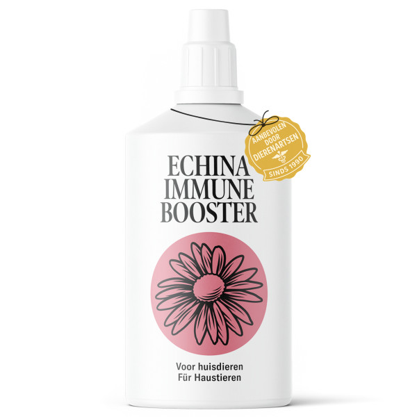 Echinacea for pets | Immune Enhancement